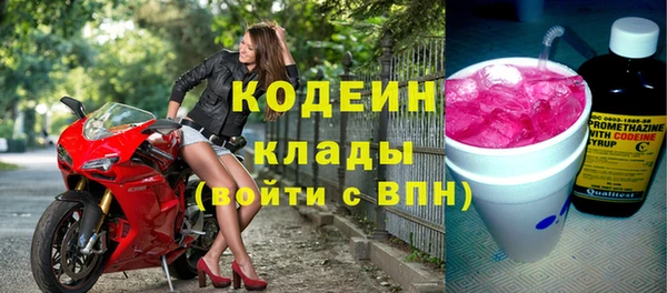 прущие грибы Мегион