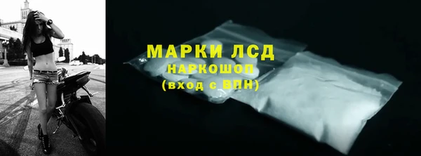 прущие грибы Мегион