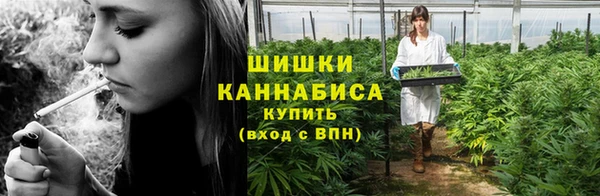 молекула духа Медвежьегорск