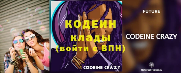 молекула духа Медвежьегорск