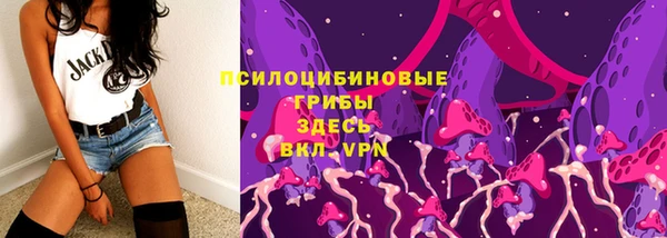 прущие грибы Мегион