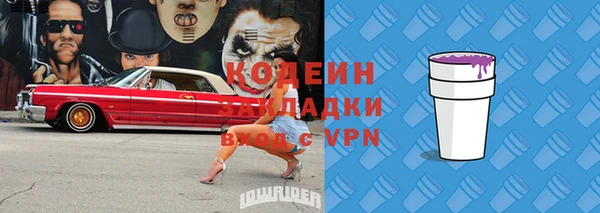 молекула духа Медвежьегорск